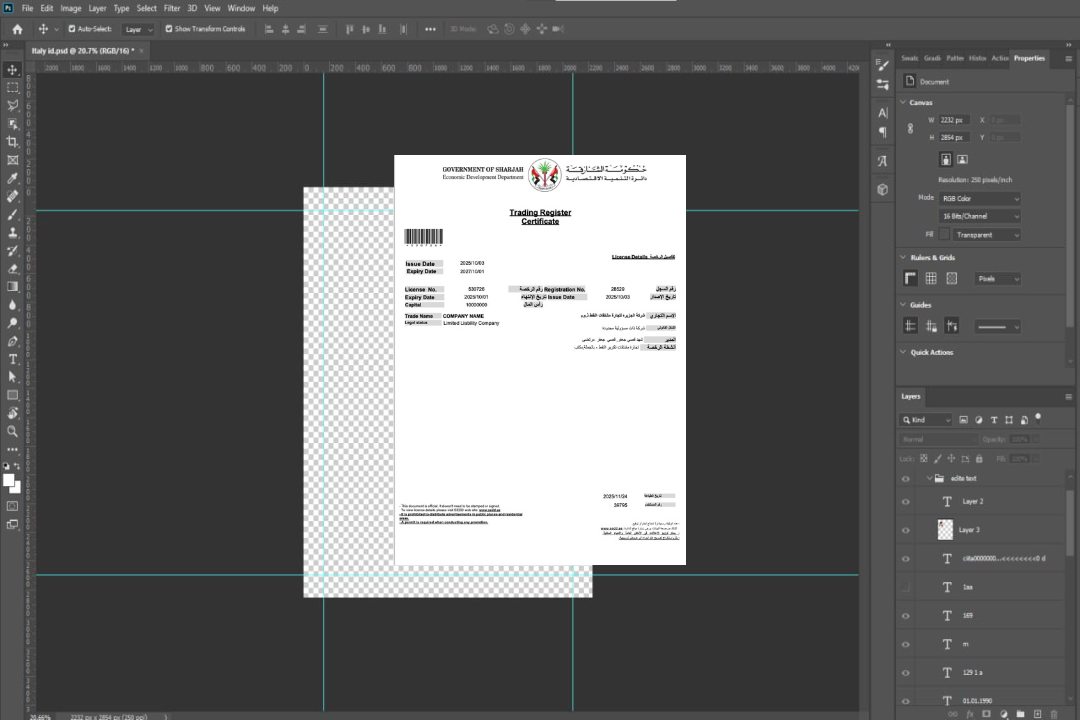 Modèle Word et PDF de certificat de licence commerciale de Sharjah aux Émirats arabes unis template Modèle Word et PDF de certificat de licence commerciale de Sharjah aux Émirats arabes unis template